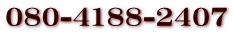 080-4188-2407